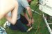 Contests &raquo; Mid 1980s Field Day